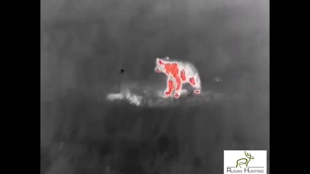 Guide TrackIR 50 Medvjed