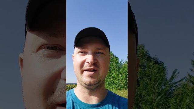 Что делать если люди не ценят вашего присутствия ? #мыслиматериальны #саморазвитие #успех смотреть онлайн