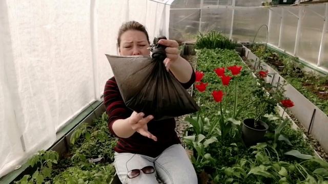 ДЕЛАЙТЕ ВСЕ ЛЕТО ЗЕЛЕНОЕ УДОБРЕНИЕ ИЗ СОРНЯКОВ | БРОДИЛКА БЕЗ ЗАПАХА ИЗ СОРНЯКОВ смотреть онлайн