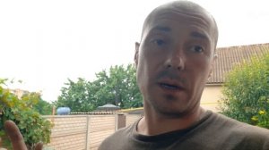 BMW X5 E70 замена задних колодок,сброс сервисного интервала колодок.