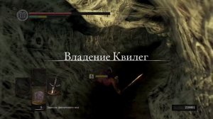 Можно ли пройти Dark Souls, если ВСЕ ВРАГИ стали БОССАМИ? - Часть 2