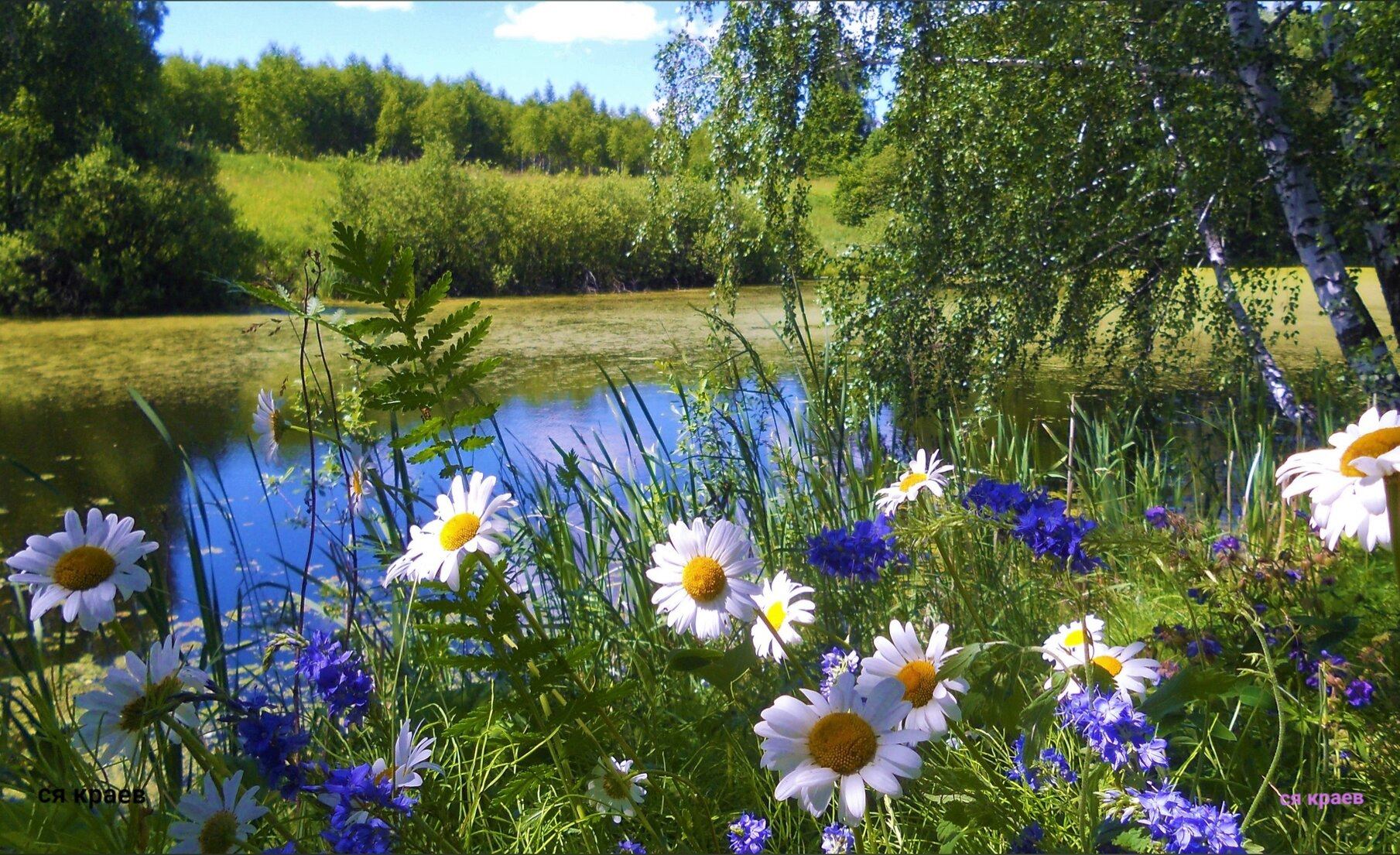 Июль 2023 смотреть онлайн