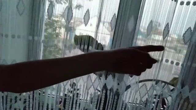 vlog ПЕРВЫЙ РАЗ ОДЕЛА КУПАЛЬНИК ЗА СТО ЛЕТ смотреть онлайн