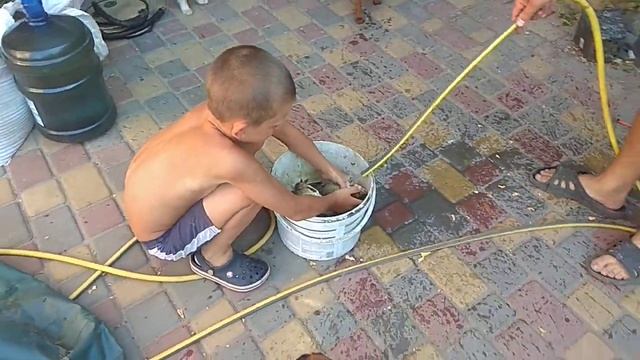 Результат рыбалки с лодки на р.Днепр. смотреть онлайн