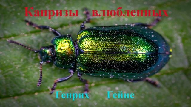 Капризы влюбленных. Генрих Гейне. смотреть онлайн