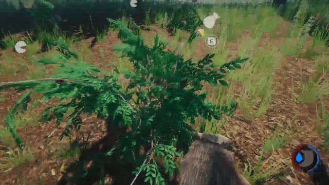 (The Forest) Twinberries *how to get them* смотреть онлайн