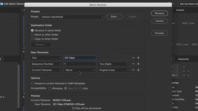 How to BATCH RENAME Files in Adobe Bridge in 2023 смотреть онлайн