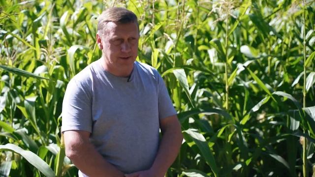 Почему выбирают МайсТер Пауэр? Отзыв смотреть онлайн