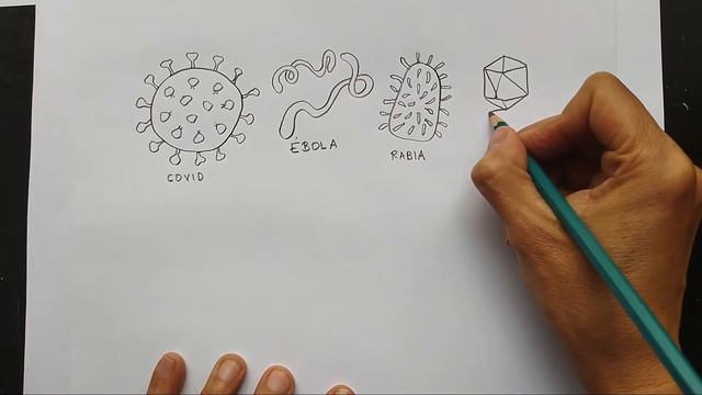 🦠Cómo dibujar VIRUS Y BACTERIAS🦠 How to draw VIRUS AND BACTERIA ✏️😷 смотреть онлайн