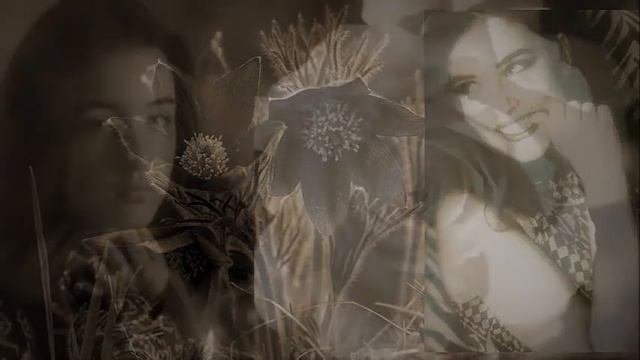 Znane i zapomniane - Basia Kosmal