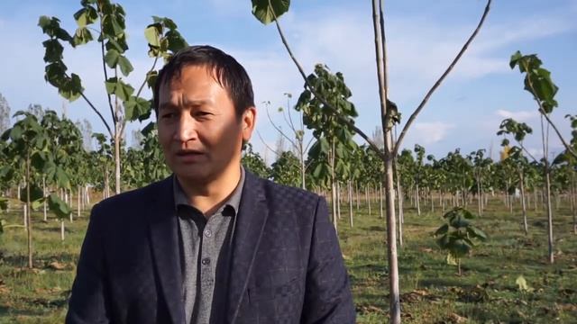 Agroforestry and poplars in Central Asia - English Part 2 смотреть онлайн
