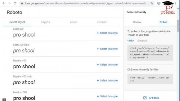 Import Font | How To Import Font In HTML CSS | Import Google Font