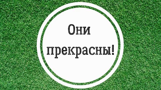 «Родом из детства» смотреть онлайн