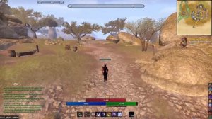 Билд на скорость передвижения! Бегаем максимально быстро без спринта. The Elder Scrolls Online ESO