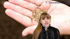 Как ОЧЕНЬ ПРОСТО проверить СЕМЕНА МОРКОВИ на всхожесть!!!