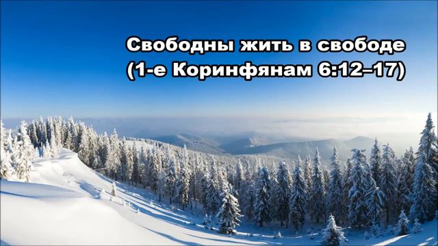 Тихое время с Живой Жизнью: 1-е Коринфянам 6:12–20 (15012018) смотреть онлайн