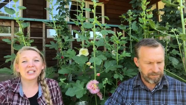 The Pantry Chat...In the cottage garden answering your questions! смотреть онлайн