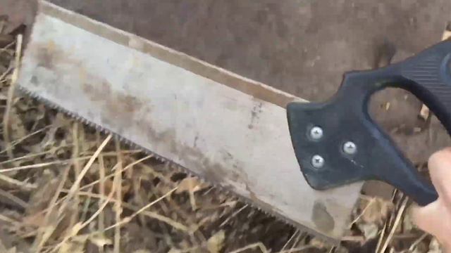 От такой находки у меня в горле пересохло! смотреть онлайн