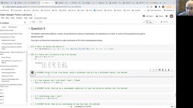 MATH 3191: How to Enter Your Answers for Python Lab 1? смотреть онлайн