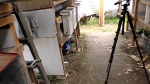 РАЗВЕДЕНИЕ КРОЛИКОВ ?прибыль % ?♂️ЛИЧНЫЙ ОПЫТ Кролики содержание и разведение