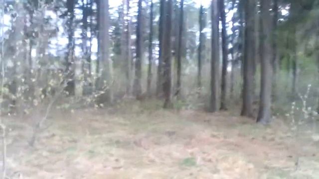 У реки Суда