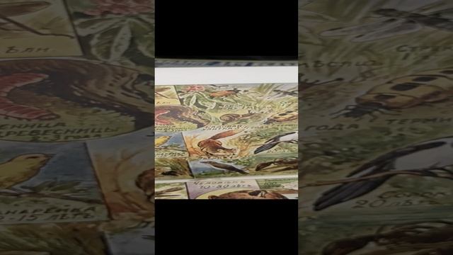 борьба со старостью смотреть онлайн