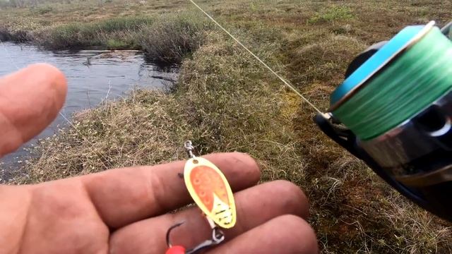 Злые рыбы Васюганских болот. Рыбалка с утра смотреть онлайн