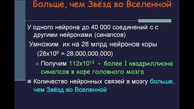 TEDxPerm - Tatiana Chernigovskaya - 9/11/09 смотреть онлайн