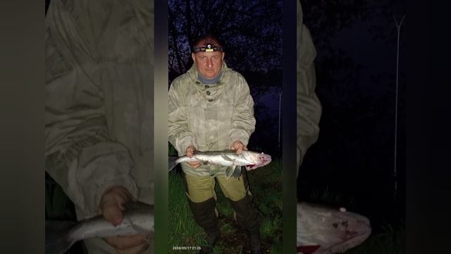 Софьино 17.05.2024