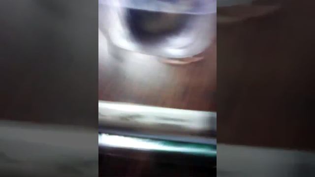 Плесень и бамбуковые палочки. смотреть онлайн