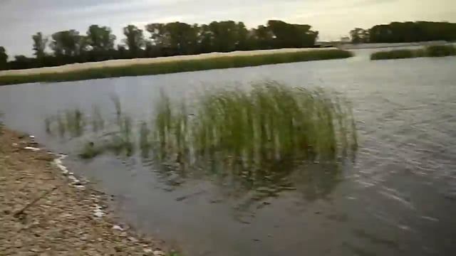 Рыба сошла. Рыбалка в Казани. Streetfishing смотреть онлайн
