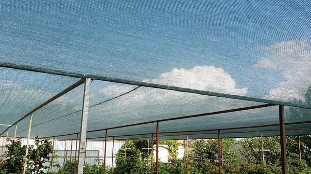 Притеняющая сетка для ежевики и малины. Сменила с 40% на 55% смотреть онлайн