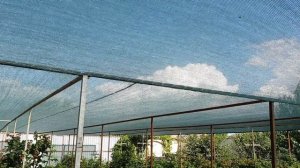 Притеняющая сетка для ежевики и малины. Сменила с 40% на 55%