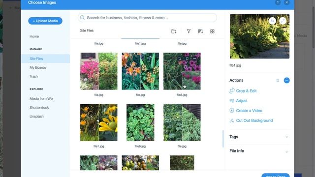 Wix Wordpress Blog Import Issues смотреть онлайн