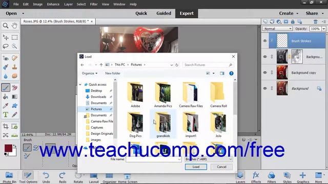 Photoshop Elements 2019 Tutorial Loading New Brush Sets Adobe Training смотреть онлайн