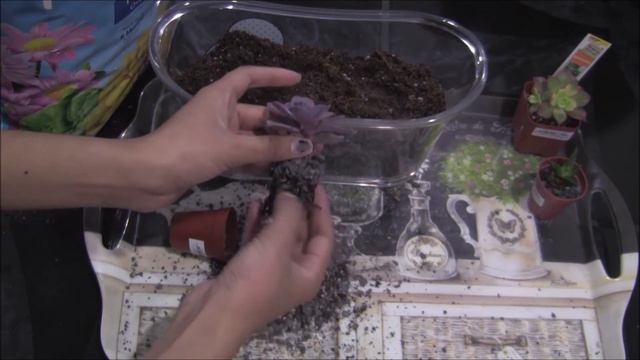 DIY: Succulent And Cactus Terrarium | Room Decor Ideas смотреть онлайн