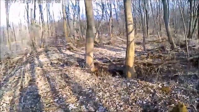 Lost Places Der Wald um KZ-Buchenwald The forest around KZ-Buchenwald смотреть онлайн