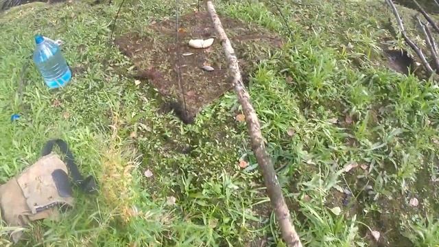 Ловля живца,карася,подъёмником.Видео rybachil.ru смотреть онлайн