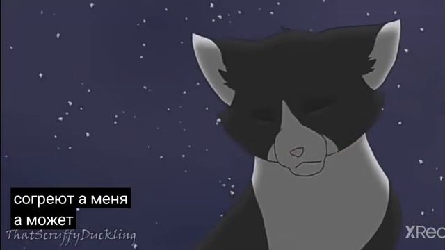 озвучка Котов воителей смотреть онлайн