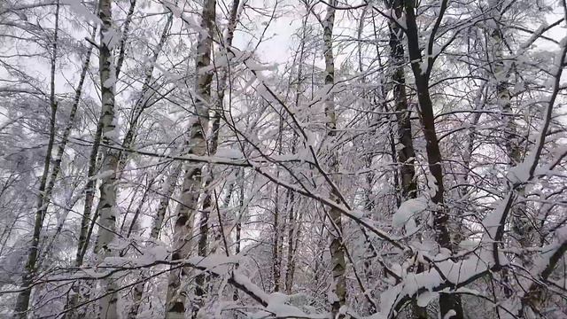 Опора ЛЭП держится на веревке на особо охраняемой природной территории ЛЗ Теплый Стан смотреть онлайн