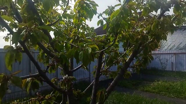 СтройНастольгия