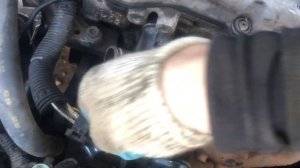 Подтяжка ремня генератора на автомобиле Nissan Primera P11