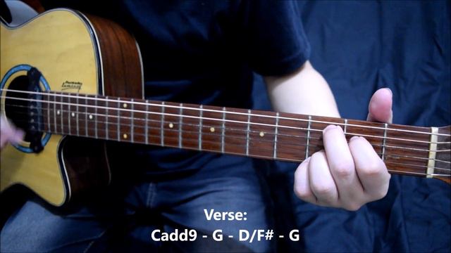 Sana - I Belong To The Zoo | Guitar Cover with Chords смотреть онлайн