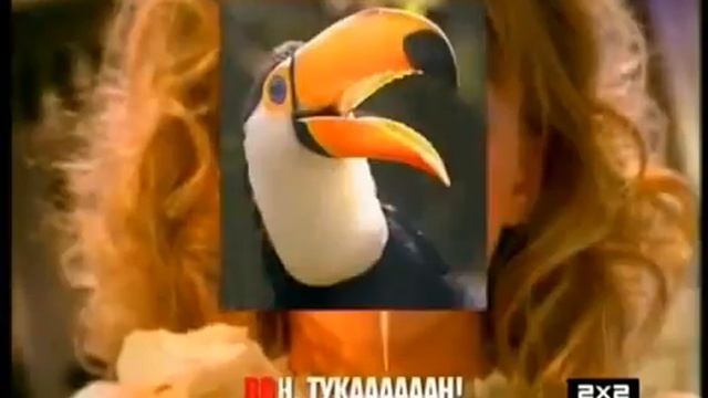 Soundgarden  Плакал сам, вон тукан!