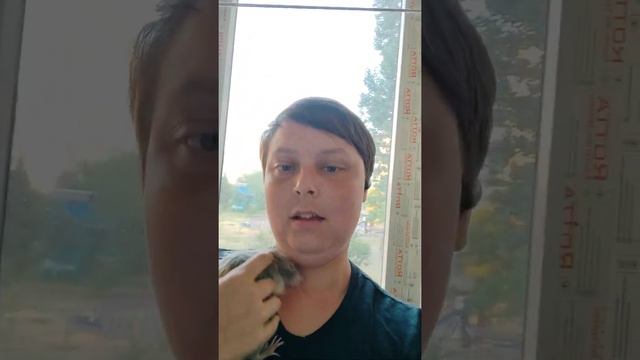 Просто не хватает времени...