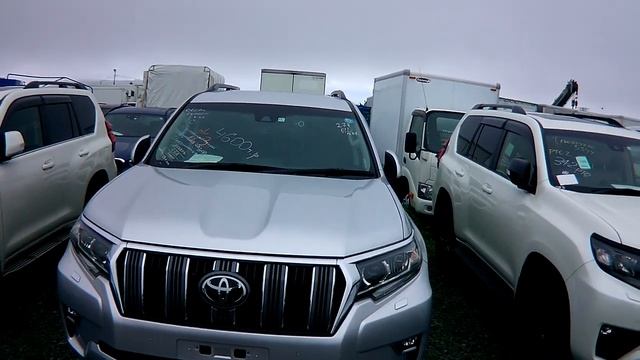 Зеленый угол-что продают на авторынке после введения санкций.Цены- смотреть онлайн