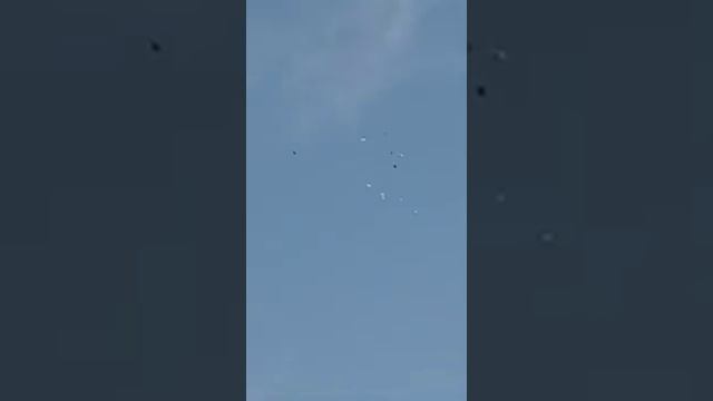 Голуби Серяна Москве