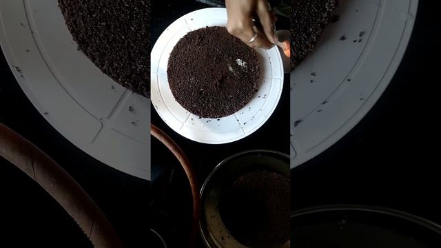 1 kg cake no order|Blackforest cake | Birthday cake order #youtube#kitchen#cake смотреть онлайн