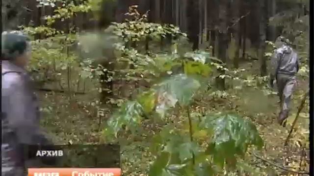 лес ошибок не прощает смотреть онлайн