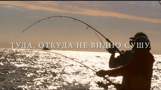 Живи с Mercury! смотреть онлайн